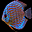 Aquarium Fishes Free Screensaver Icon