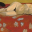 Art of Matisse 1.0 32x32 pixel icône
