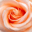 Beauty -- Path to Tao 1.0 Beauty -- Path to Tao 1.0 32x32 pixels icon