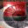 BotDetect 3 ASP CAPTCHA 3.0.9 32x32 pixels icon