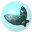 Bubble Bug Icon