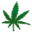 Cannabinatic Screensaver Icon