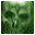 Central Brain Identifier 8.3.6.6 Build 1228 R6 Central Brain Identifier 8.3.6.6 Build 1228 R6 32x32 pixels icon