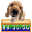 Cute Puppy Clock Icon