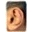 Dolce Ear Training Icon