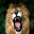 Ferocious Lion  Screensavers Icon