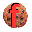 FlashCookiesView Icon