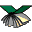 Flying Books Icon