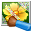 Neat Image 9.1.0 32x32 pixel icône