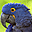 Parrots Free Screensaver Icon