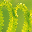 Patterns of Nature DesktopFun Scree... 3.0 Patterns of Nature DesktopFun Scree... 3.0 32x32 pixels icon
