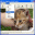Priore TWAIN for VS.NET 1.0 32x32 pixels icon