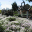 Rotary Gardens Screen Saver 1.01 Rotary Gardens Screen Saver 1.01 32x32 pixels icon