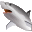 Shark Water World 3D Screensaver Icon