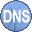 Simple DNS Plus 9.1.114 32x32 pixels icon