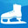 Skater .NET Obfuscator Professional 8.8.3 32x32 pixel icône