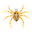 Spider Web 1.4.2 32x32 pixel icône