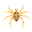 Spider Web Icon