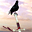 Sword of Honor 3D Screensaver 1.01.5 32x32 pixels icon