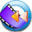 ViVi DVD Ripper Icon