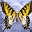 Zoner GIF Animator 5 Zoner GIF Animator 5 32x32 pixels icon
