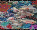 Liquib (64-bit) Screenshot 0