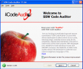 SSW Code Auditor Screenshot 0
