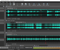 Wavepad Audio and Music Editor Pro Screenshot 0