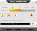Perfect Sound Recorder Screenshot 0