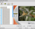 dvdXsoft DVD to PSP Converter Screenshot 0