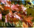 Animated Day Of Thanksgiving Screensaver Screenshot 0