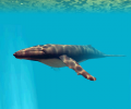 Deep Sea World 3D Screensaver Screenshot 0