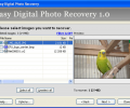 Easy Digital Photo Recovery Screenshot 0