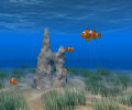 Clown Fish Screen Saver Screenshot 0