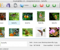 Visual LightBox Mac Screenshot 0