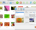 Visual SlideShow Mac Screenshot 0