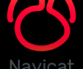 Navicat for Oracle (Windows) - the best GUI database tool for your work Screenshot 0