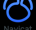 Navicat for PostgreSQL (Windows) - the best GUI database administration tool Screenshot 0