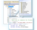 Entity Developer Professional Screenshot 0