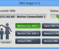 Dns Angel Screenshot 0