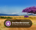 DotNetBrowser Screenshot 0