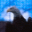 AV EAGLE 3 4.72 32x32 pixels icon