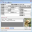 BastetWin 5.8.0 BastetWin 5.8.0 32x32 pixels icon