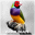 Bird Cages / Aviary Designer 2005 Bird Cages / Aviary Designer 2005 32x32 pixels icon