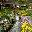 Dream Gardens 2 1 Dream Gardens 2 1 32x32 pixels icon