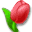 4WomenOnly 7 4WomenOnly 7 32x32 pixels icon