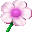 NuKit 1.1.5 NuKit 1.1.5 32x32 pixels icon