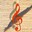 Pizzicato Professional 3.6 Pizzicato Professional 3.6 32x32 pixels icon