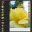 Showcase Image Gallery 1.0 Showcase Image Gallery 1.0 32x32 pixels icon