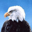 Free Winter Spirit Screensaver 1.0 Free Winter Spirit Screensaver 1.0 32x32 pixels icon